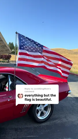 Replying to @JustADogMom been needing a reason to post this again, with the flag and all. Thanks!! #oemplus #camaro #carsoftiktok 
