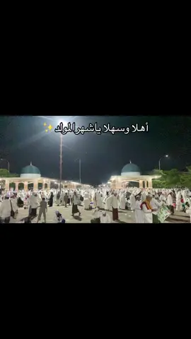 #handilbakti #mesjidbustanulmuhibbin  #bulanmaulid  #rabiulawal 
