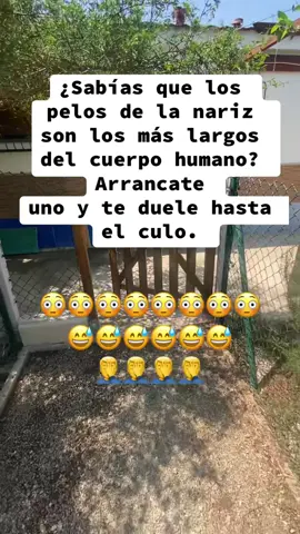 #Recuerdos 