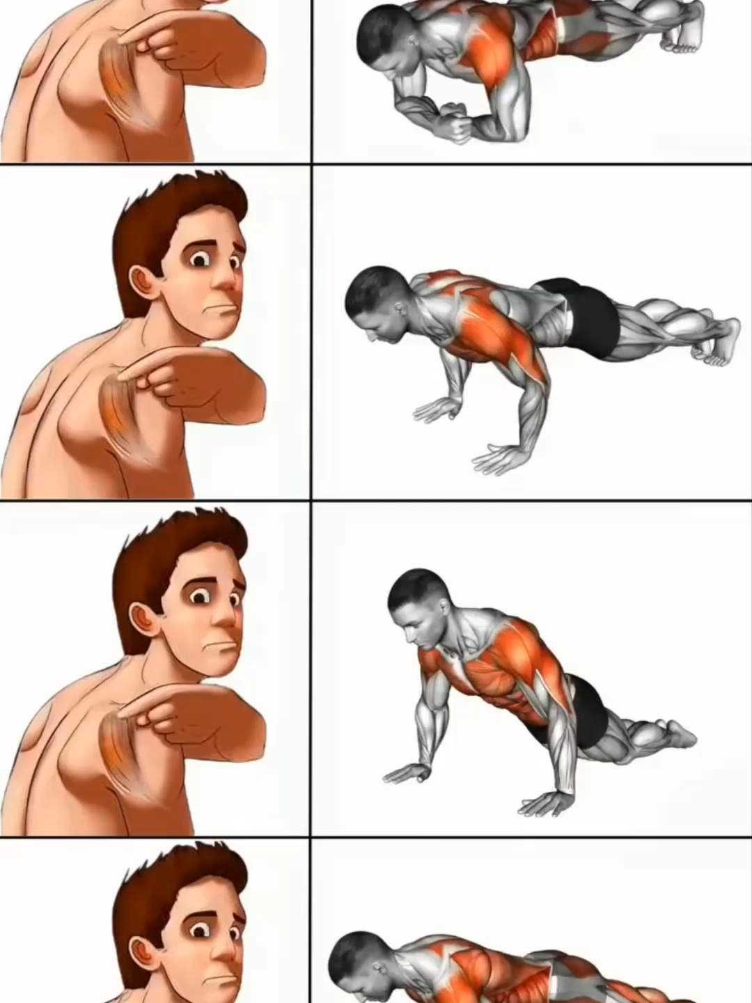 Effective Shoulders Workout #GymTok #muscle #exercise #Fitness #workout #workoutroutine #workouttips #fit #fitnesstips #Shoulders #Shoulderworkout