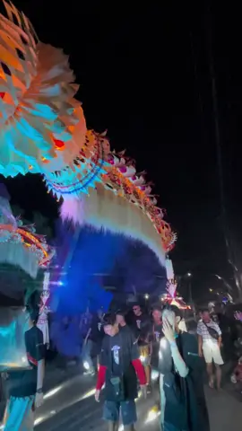 Arek etan sawah#mahameruaudio #karnavalsoundsystem #karnaval #bagorejo #karnavalbanyuwangi #srono #fyp #fy 