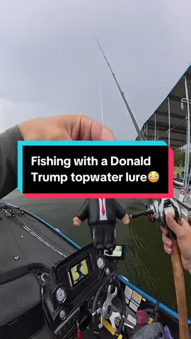 Fishing with a Donald Trump topwater lure  #fishing #fishtok #fishingvideos 