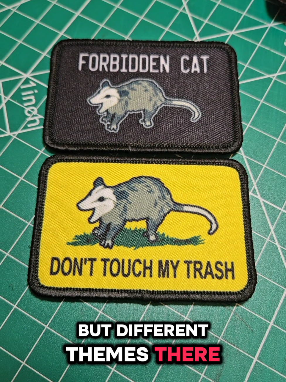 this os for people and followers who like possums #possum #funny #meme #lolz #jokes 