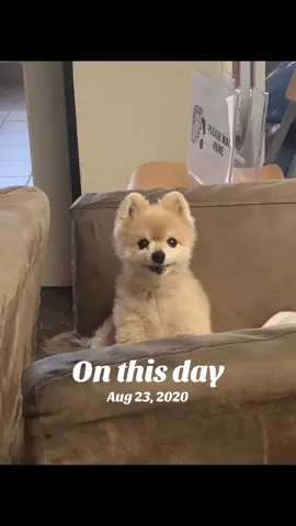 #onthisday 