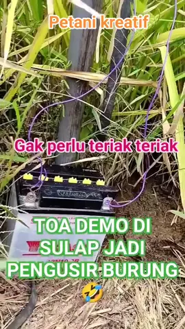 #kumpulanvidioartisviral#videolucu #ketawangakak #lucu #funny                                  