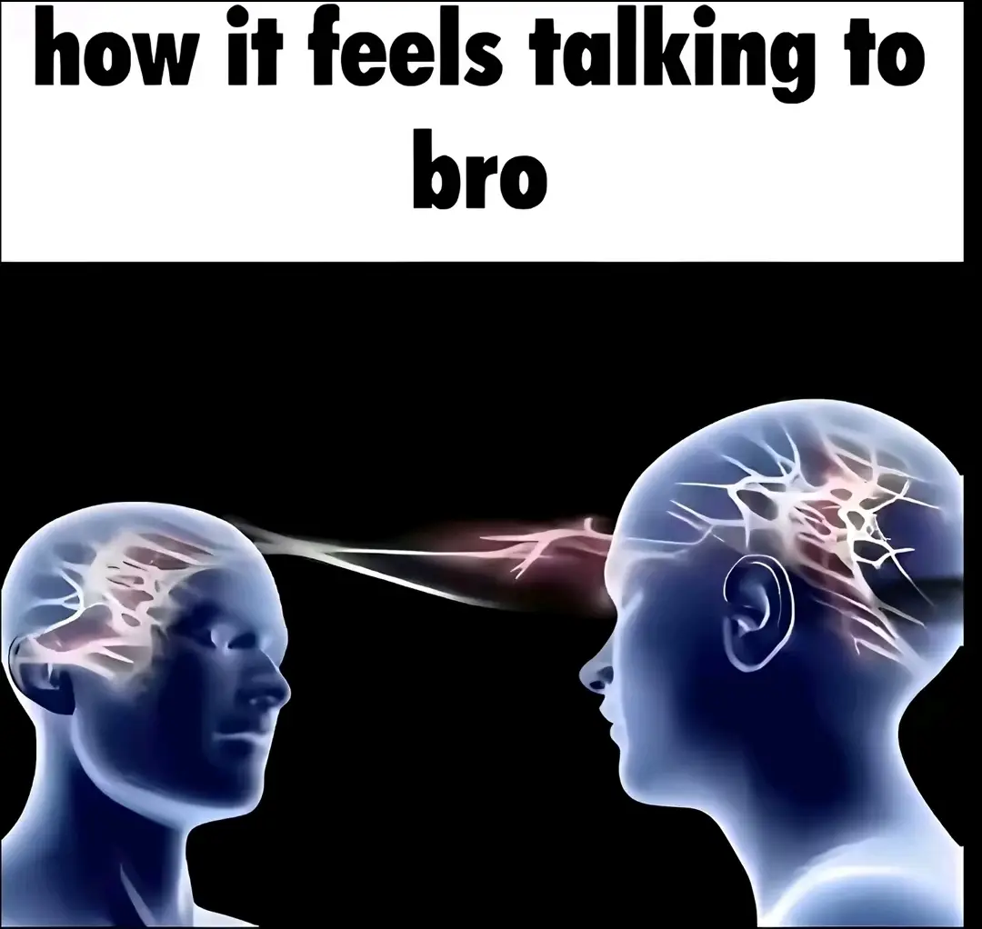 #howitfeelstalkingtobro #meme #vro #funny #fyp