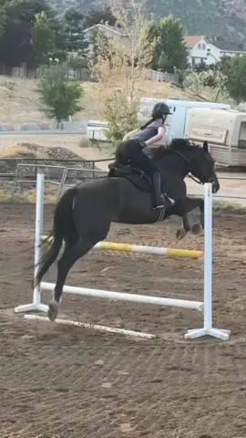 FINALLY got to do this exercise on my horsieee 