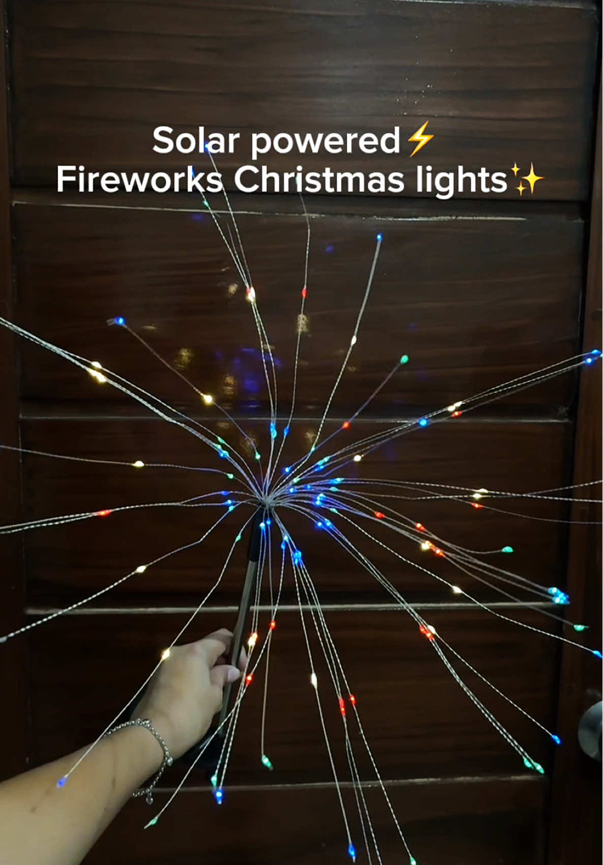 Solar Christmas lights! #solarchristmaslights #solar #christmaslights #fyp 