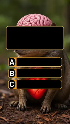 Quiz About Animals…. #quiz #animals #learn #usa #generalknowledge 