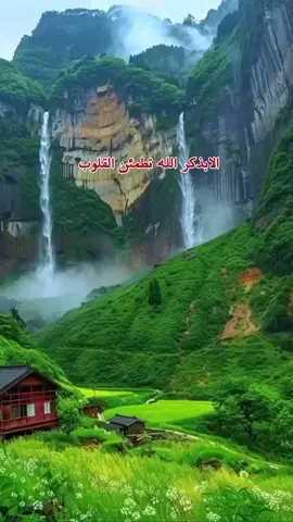 #الابذكر_الله_تطمئن_القلوب_أذكرو_الله #ياالله_ارحمنا_برحمتك_ياارحم_الرحمين #أصبحنا_وأصبح_الملك_لله_الحمدلله #اللهم_صل_على_محمد_وآل_محمد #صباحكم_معطر_بذكر_الله💚🌹🌿🌷😍🌸🙏 