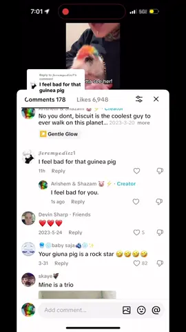 Replying to @𝓙𝓮𝓻𝓮𝓶𝔂𝓮𝓭𝓲𝓽𝔃1 I can’t imagine having guinea pigs in that tiny cage 😱 who are we feeling bad for again? 😳 #guineapigsoftiktok #guineapig 