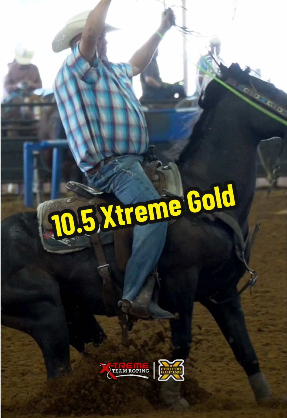 @XTremeTeamRoping | 2025 Finals | 10.5 Xtreme Gold Winner$: Criquette Chapman & Larry Cox | Watch live: XFactorRoping.com | Free Video Downloads: XFRundelivery.com