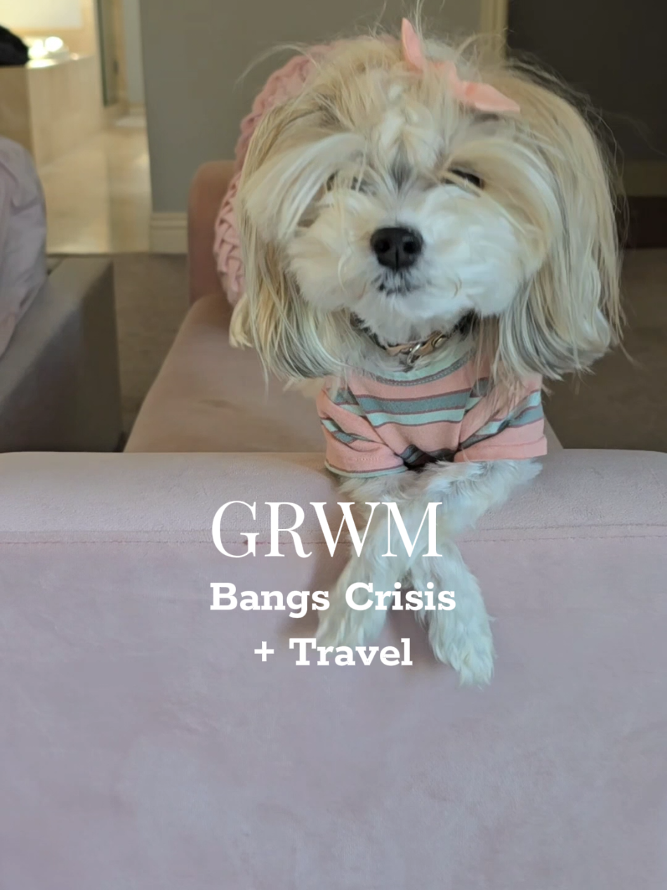 Do you think we should take wormie or Arlo to Michigan with us? 