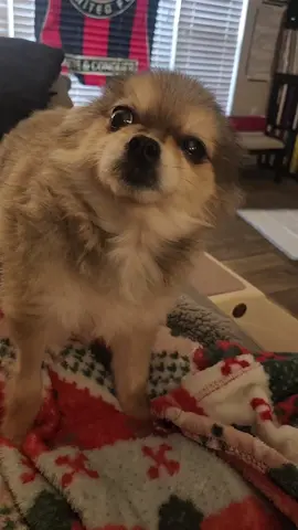 💗💗💗💗💗💗💗