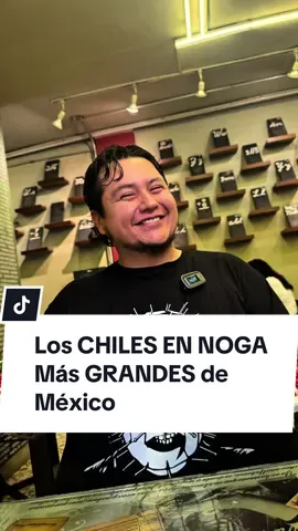 Definitivamente los #chilesennogada y toda la comida de @restaurantedonlazaro te van a fascinar 😘 Mi increíble playera la conseguí con mis amigos @alvshopmx  Costos: $495 cada chile Ubicación: Cto. Interior  241, Sta María la Ribera, Cuauhtémoc, CDMX Días y horarios: De Lunes a Domingo de 10am a 6pm #donlázaroelviajero #chilesennogadagigantes #besosalosgordos #elgurudelalonja         