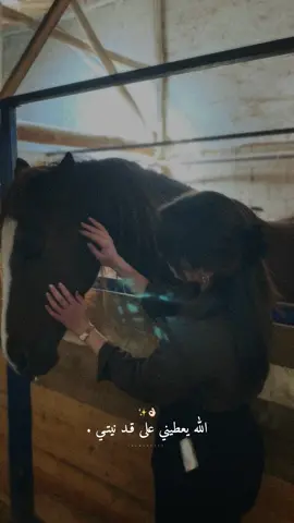 الله يعطيني على قد نيتي.👌🏻🤍✨#راشديةمطنوخة #خيل_وخياله🐎 #capcut #foryou #viralvide 