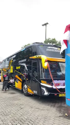 pada naik unit apa? #fyp #videobus #tripmania #anyer #videobusindonesia 