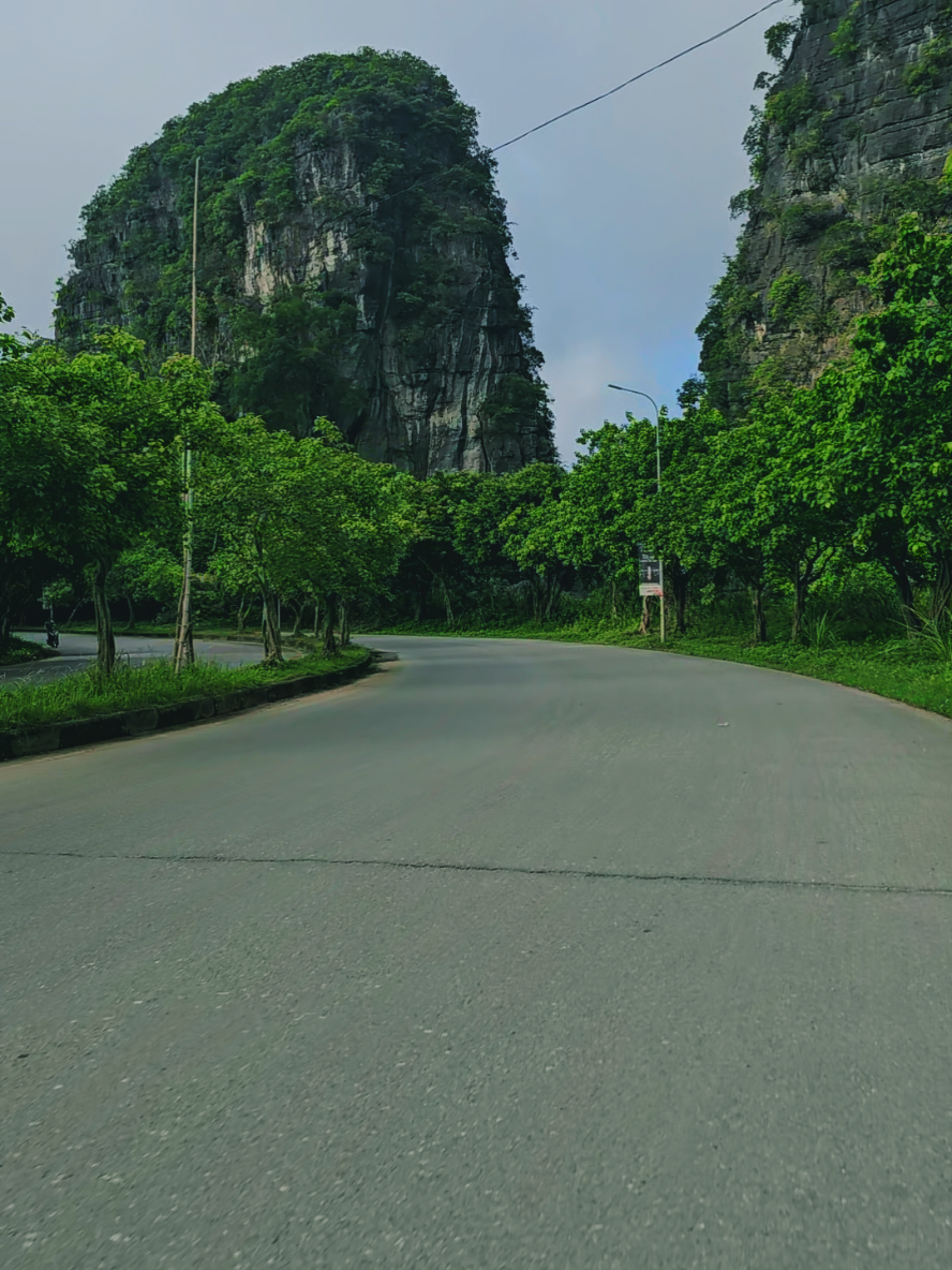 Chúc cả nhà cuối tuần vui vẻ  #chonquethanhbinh🐟🌴 