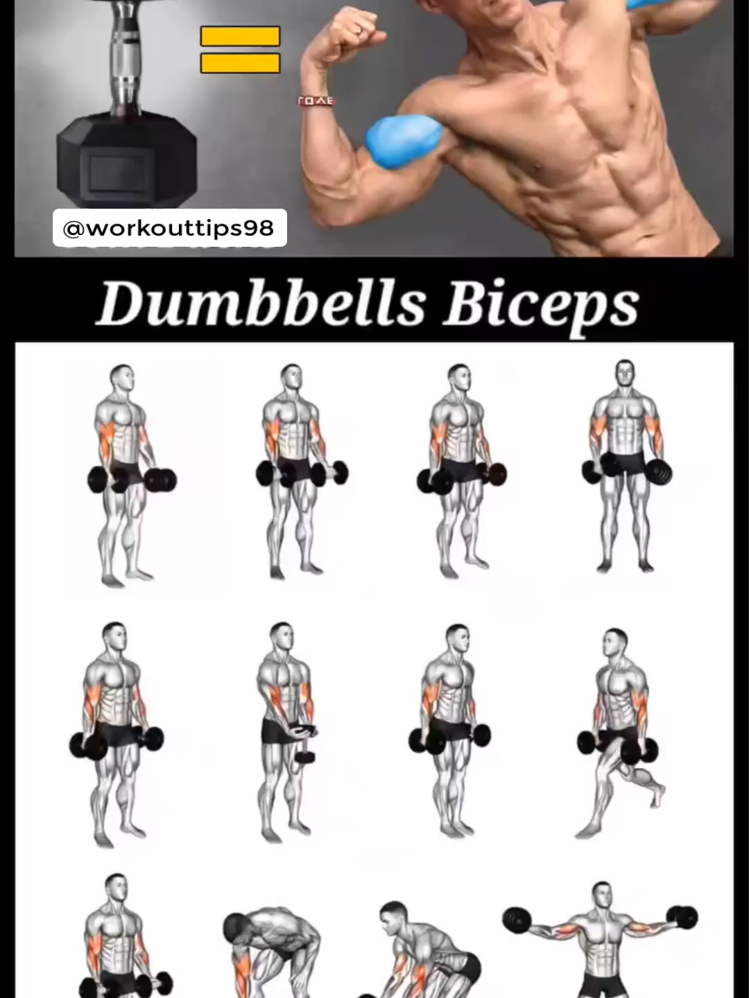 Dumbbells biceps for beginners 💪 #muscle #exercise #Fitness #fit #gym #fitnesstips #workoutmotivation #workoutchallenge #workout #Biceps #Bicepsworkout