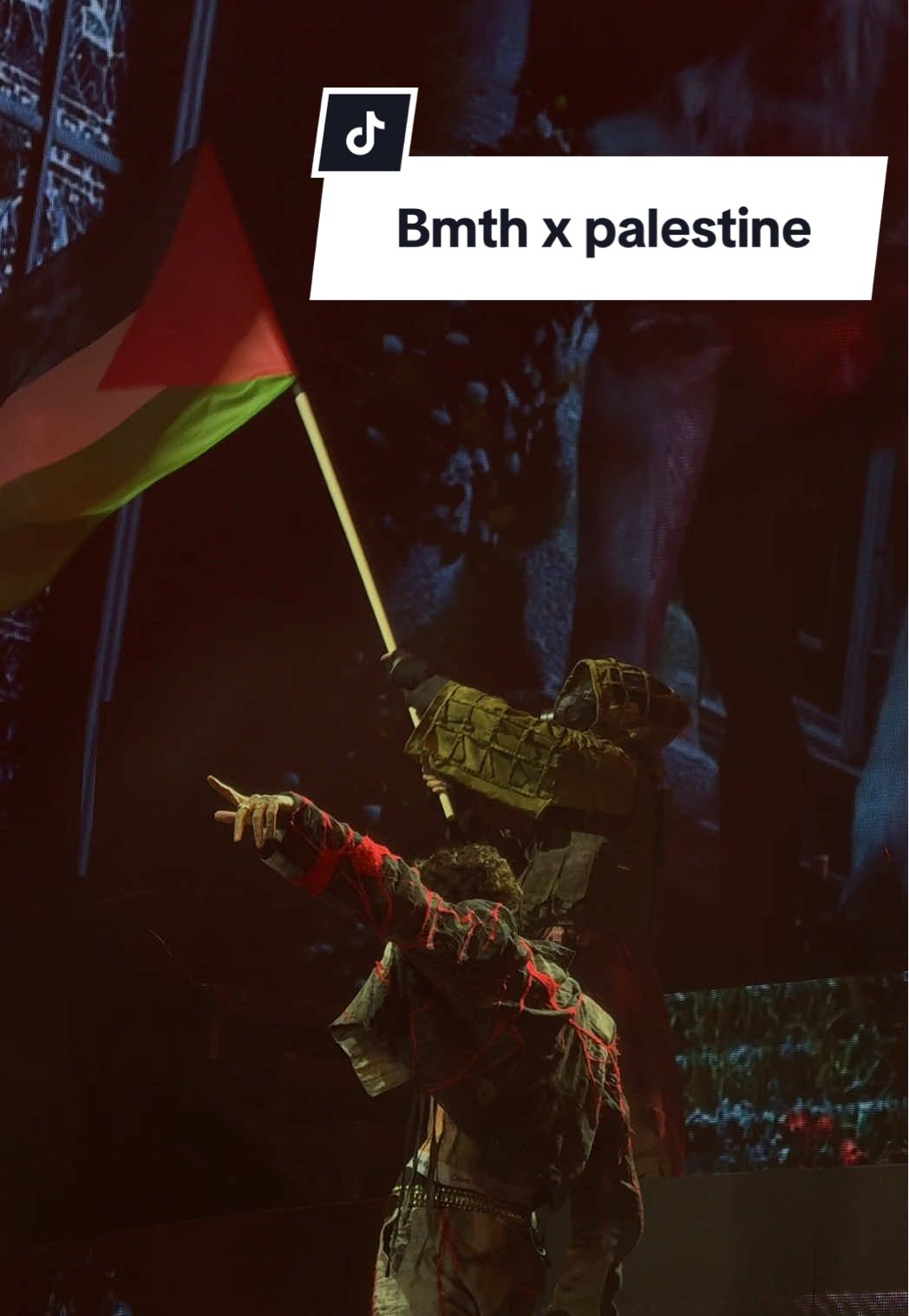 Bmth performing throne with palestine flags at reading festival 2025 #olisykes #bmthreading #bmth2025 #bmththrone #bmth 