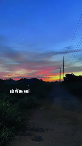 Gửi về mẹ nhiều cánh hoa... 