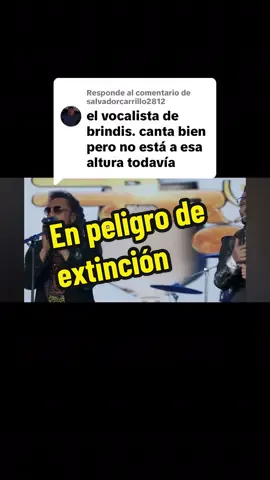 Respuesta a @salvadorcarrillo2812 esta es la verdadera música que se debería compartir para que no esté en #peligrodeextinción #grupobryndis #grupoladron #industriadelamor #djpiojo 