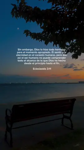 Eclesiastés 3:11 #dios #jesus #biblia #fe #amor 