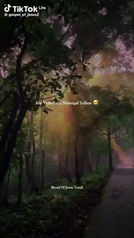 😟🥰🥰 உம் மேலே அளவில்லா அன்பு வைத்தேன் 💯💯💯