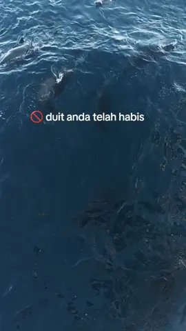 namanya juga cobaan 😅#capcut#anakrantau#🇲🇨🇰🇷#kapalcumikorea 