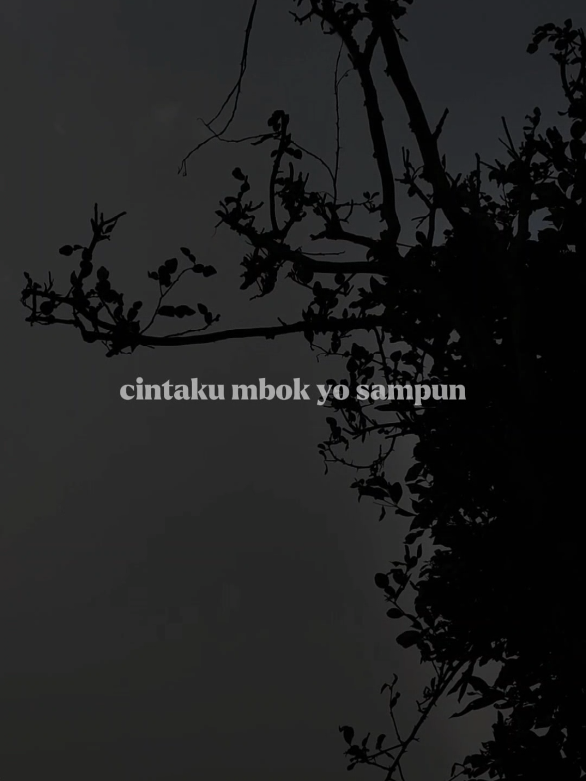 sabar versi full #liriklagu #lagujawa #sabar #sadewok #fyp 