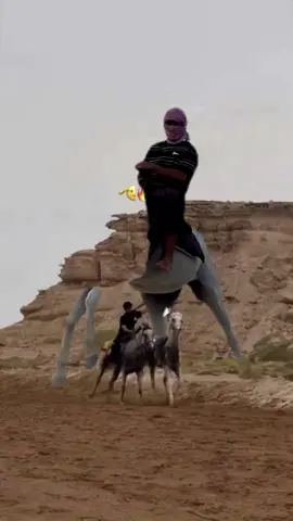 #مالي_خلق_احط_هاشتاقات 