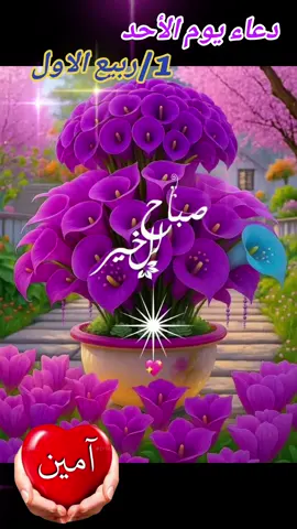 #دعاء#يوم#الاحد#1ربيع_الأول♥  #🤲🤲🕋🕋🤲🤲 