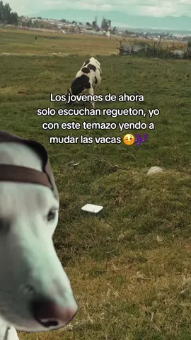 Y si  JAJAJA 😅 #CapCut #tiojoselito #vacas #campo #tiktokviral 