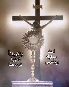 #fyp🙏🙏🙏✝️ أنا أؤمن يا رب وأعترف انك انت حقاً المسيح ابن الله الحي الذي أتى الى العالم ليخلص الخطأة وأؤمن أيضاً أن هذا هو جسدك الطاهر وهذا هو دمك الكريم اطلب منك أن ترحمني وتغفر لي خطايي وأهلني لأن أتناول بلا دينونة أسرارك الطاهرة لغفران الخطايا للحياة الأبدية + آمين ...
