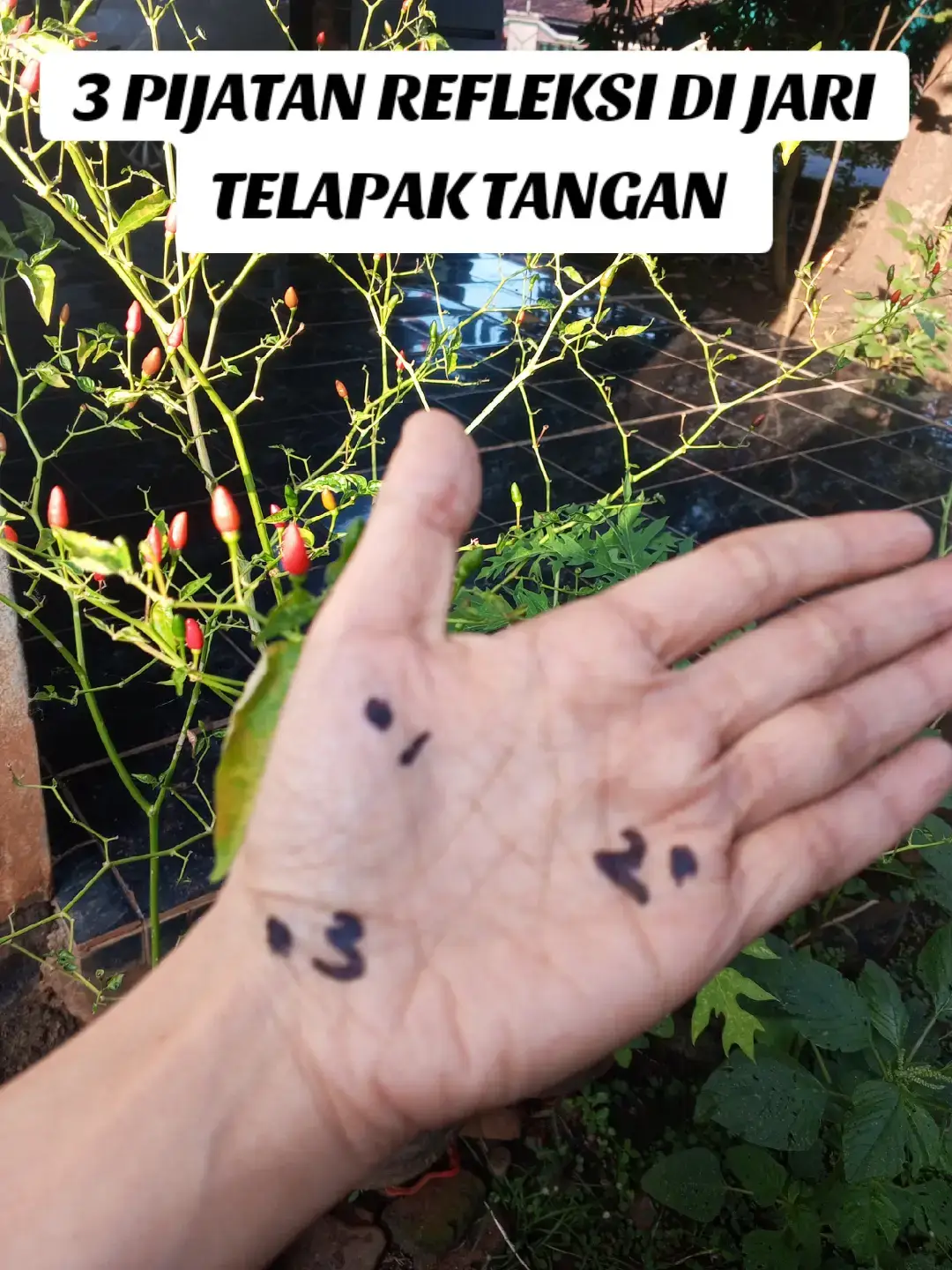 3 Pijatan Refleksi di jari telapak tangan #solusisehat #sehatalami #pijatrefleksi #edukasikesehatan #ikhtiarlife 