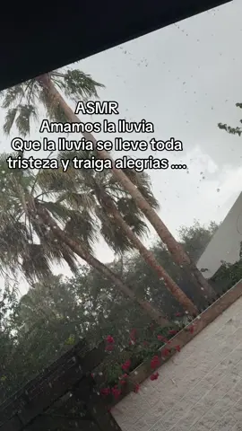 #asmr #lluvias #rain 