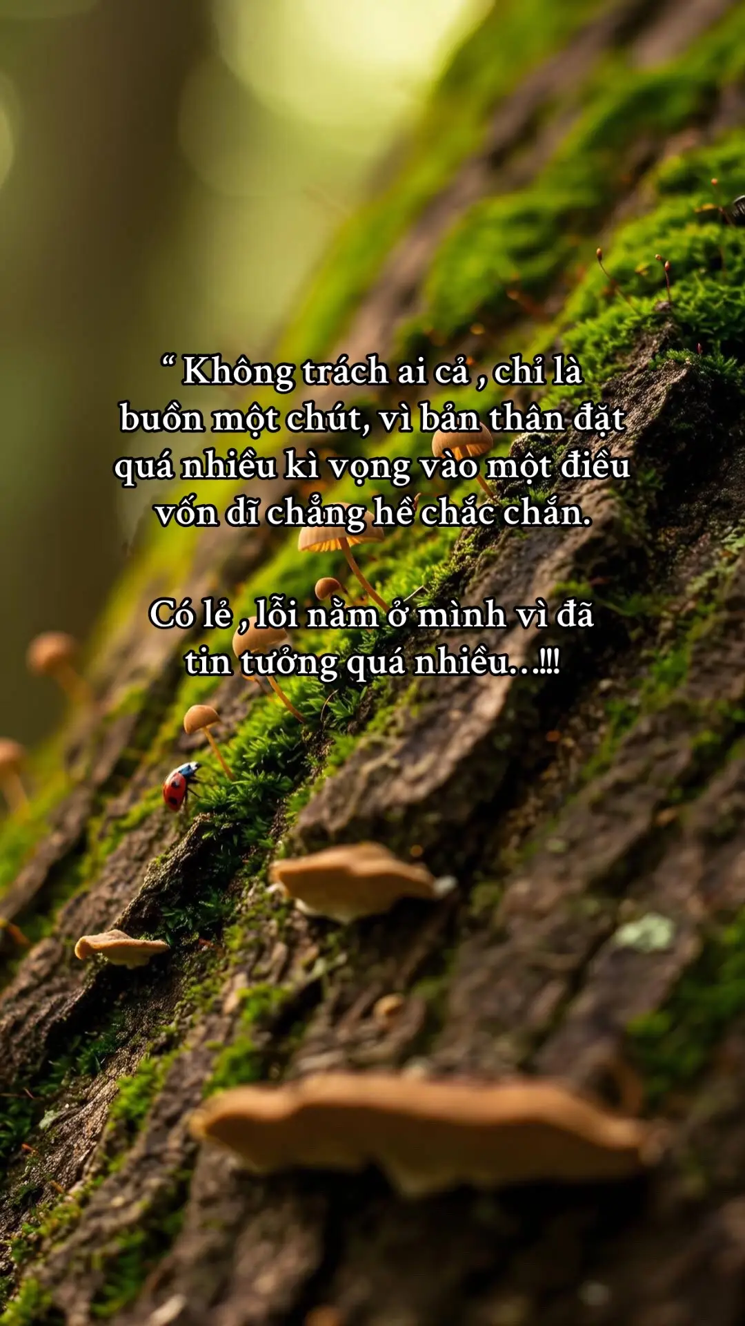 #xuhuong #foryou #fyp #nhactamtrang #tam_trang_buon 