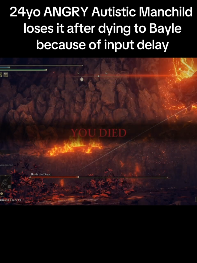 brace yourselves ‼️‼️ #gamerrage #ragequit #eldenring #fromsoftware #fypシ 