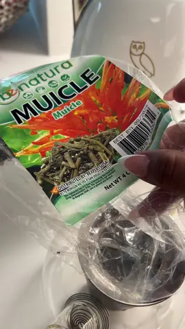 #muicle #muicleysuspropiedades 