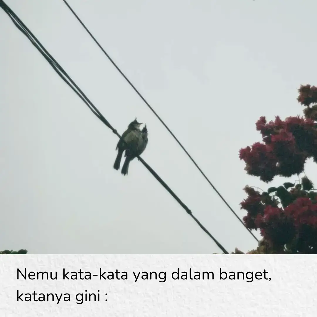 #fyp #beranda #katakata #qoutes #relationships 