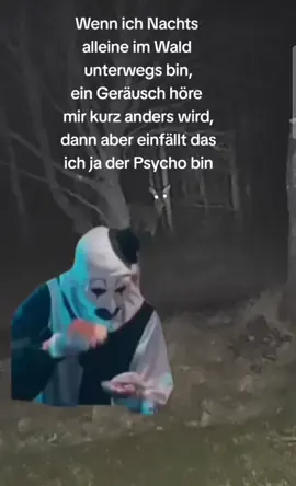 Wenn ich nachts allein im Wald bin, Geräusche höre und kurz Herzrasen kriege … bis mir einfällt, dass ich der Psycho im Wald bin.😱😨😌🚫⁉️ #PsychoVibes #NachtsImWald #LostPlaces #DarkHumor #realtalk