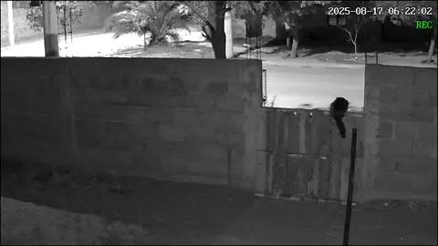 Estas chicas entraron a mi casa.. Parece que están siendo perseguidas por dos tipos en moto.