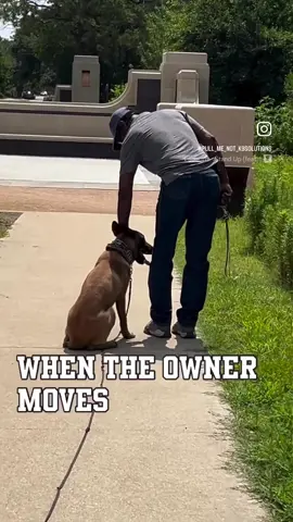 Training takes your pup to follow your command the first time, not the 29th! The more u repeat yourself, the less they listen! #houstondogtraining #houstondogtrainer #basicobediencetraining #stopmakingexcusesforyourdogshittybehavior #stoprepeatingdogcommands