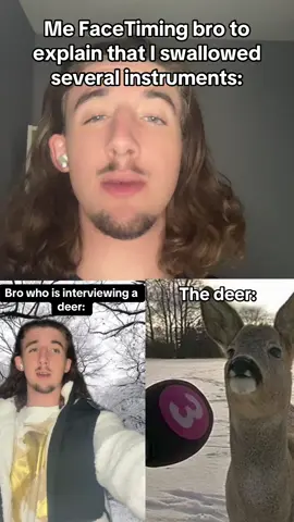 Bro is too busy… oh dear #blowup? #deer #funnytiktok #musik #memestiktok 