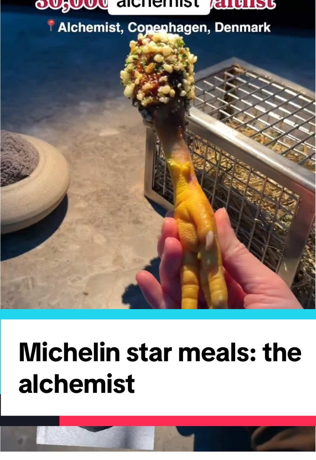 Michelin star meals: the alchemist #marco #foodtiktok #foodcontent #michelinstar #finedining 