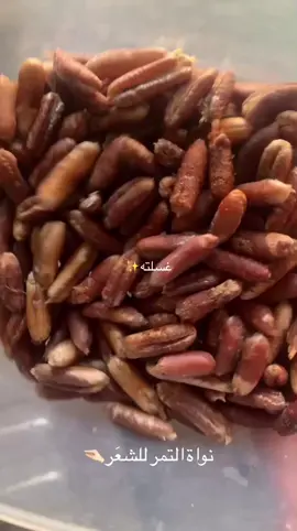 احب هذا الصوت اخوانِ😔😂🤍🤍 يجنن بنات عوفوه مكان اضلم لمدة 10 ايام يلا تستخدموه 