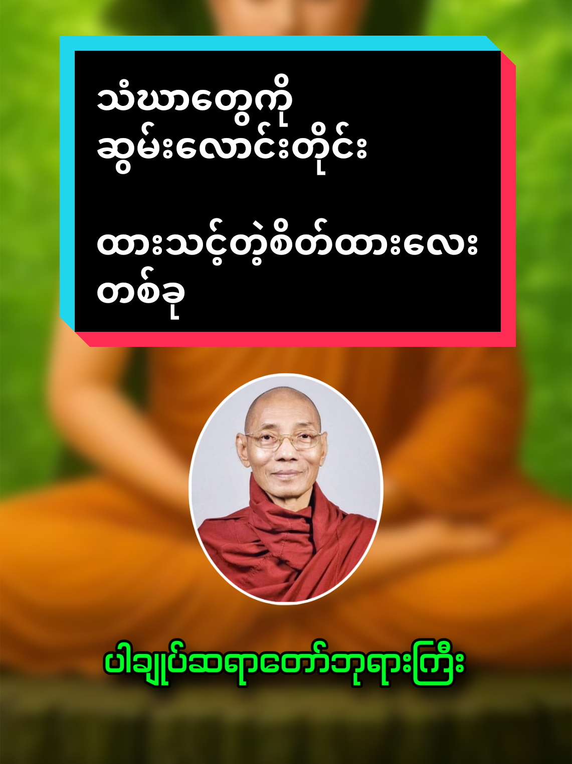 #fyp #viral #တရားတော်များ #ပါချုပ်ဆရာတော်ဘုရာကြီး🙏🙏🙏 #tiktokmyanmar 
