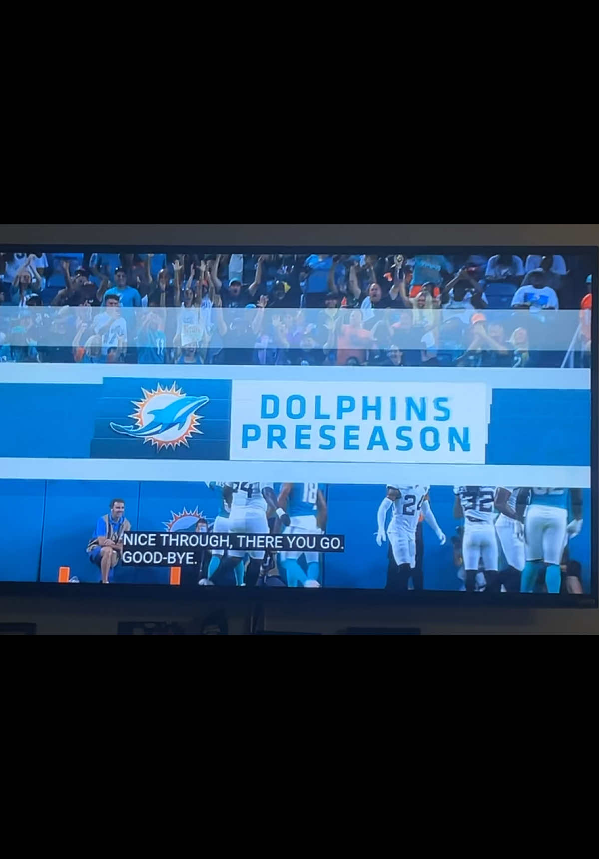 Miami Dolphins 🐬 🏈 #fyp #football #martini 