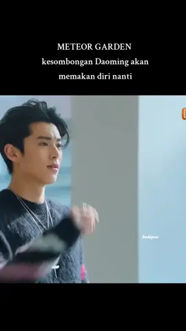 #meteorgarden #cdrama #kakipai #