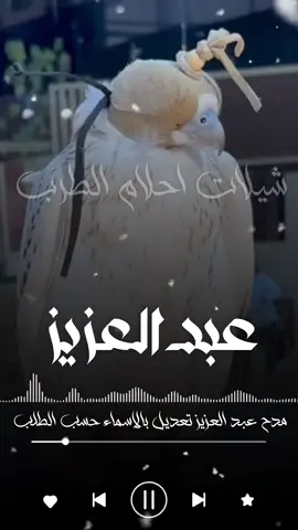 ياعبد العزيز النادر الطيب  شيله باسم عبد العزيز جديد  مرحبا يا نايف المطنوخ  شيله باسم نايف جديد وين قالوا العز ويش اسمه قلنا محمد  شيله باسم محمد جديد  امحمد اليا حضر صاب الخصوم  شيله باسم محمد جديد  سلامي على سلطان والي فيه احتزم  شيله باسم سلطان جديد  حبيب القلب ناصر حبيب الروح ناصر  الدنيا كلها ناصر شيله باسم ناصر  مرحبا يا نايف المطنوخ  شيله باسم نايف جديد  #استديو_احلام_الطرب  #اكسبلوررررررررررررررررر  #الشعب_الصيني_ماله_حل😂😂 